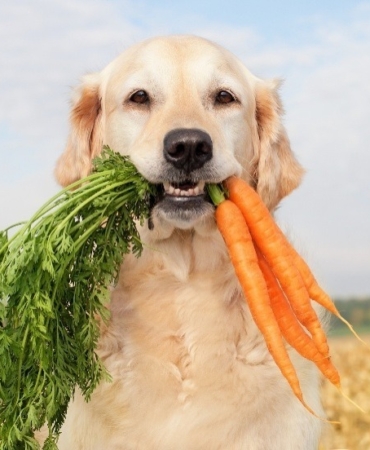 WhatsApp Image 2026-02-10 at 20.04.01