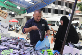 Rize'de Palamut Bolluğu Balıkçı Tezgahlarında Fiyatları 50 Liraya Kadar Düşürdü