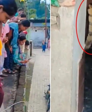 Hindistan'da Bir Evin Klozetinde Dev Kobra Yılanı Görüntülendi